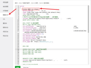 .net webapi 项目部署宝塔 + 内网穿透 +HTTPS+ 获取真实用户 IP