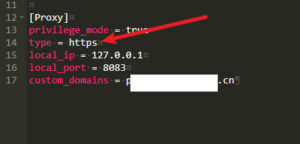 .net webapi 项目部署宝塔 + 内网穿透 +HTTPS+ 获取真实用户 IP