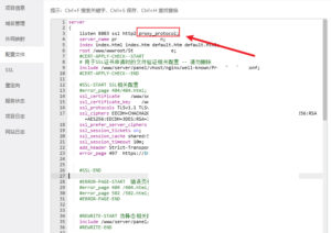 .net webapi 项目部署宝塔 + 内网穿透 +HTTPS+ 获取真实用户 IP
